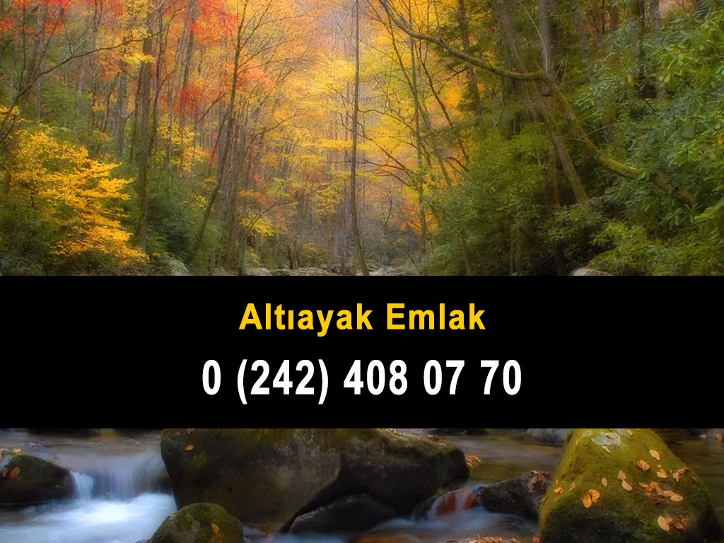 Altıayak Emlak